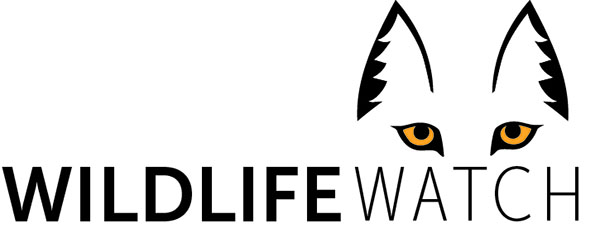 Wildlife Watch logo